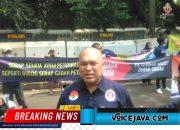 Harga DOC Naik Tinggi,Peternak Ayam Terancam Gulung Tikar
