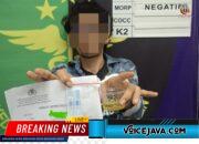 Polisi Tangkap Pengedar Ganja 3,6 Kg di Tanah Abang, Jaringan Masih Dikembangkan