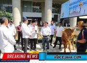 Jaksa Agung Serahkan 1 Sapi Limousin, Ketua Forwaka Baren AS : Wujud Nyata Kepedulian Insan Adhyaksa